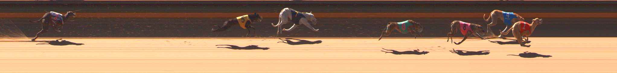 Race result finish photo